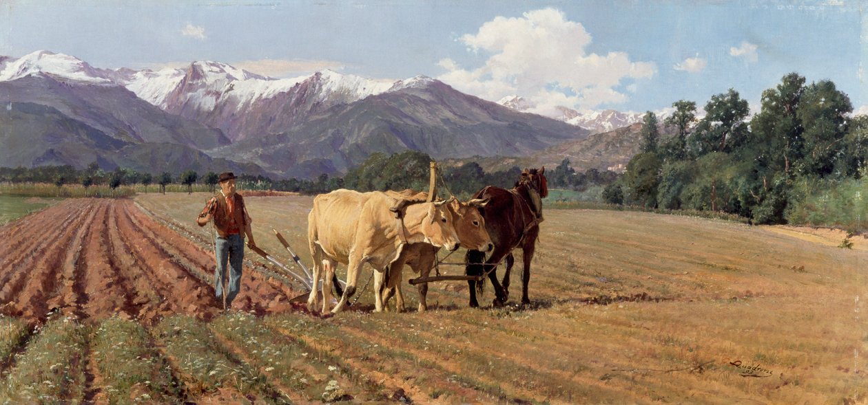 Arado de Giovanni Battista Quadrone