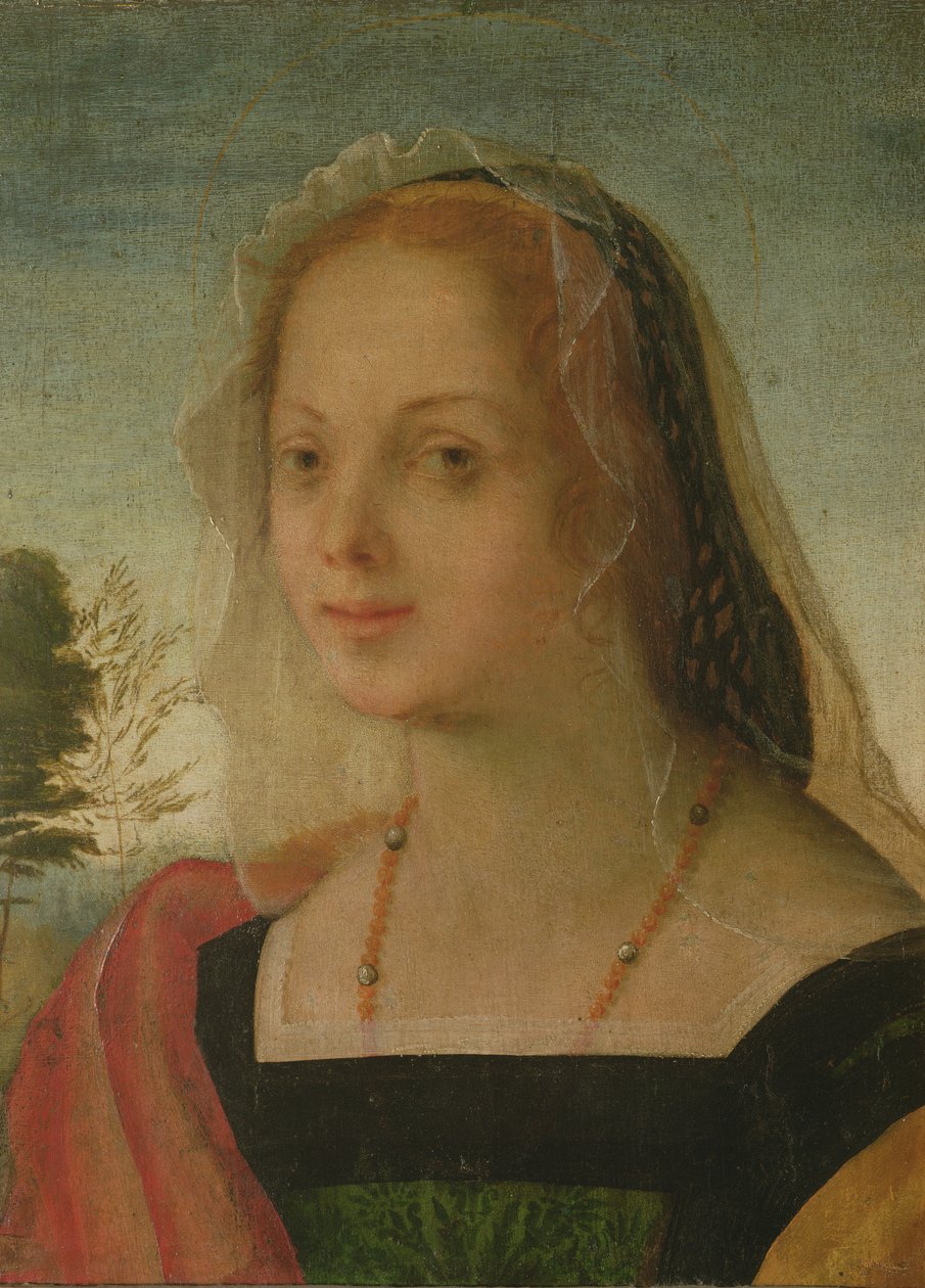 Retrato de una niña de Giovanni Battista Rosso Fiorentino