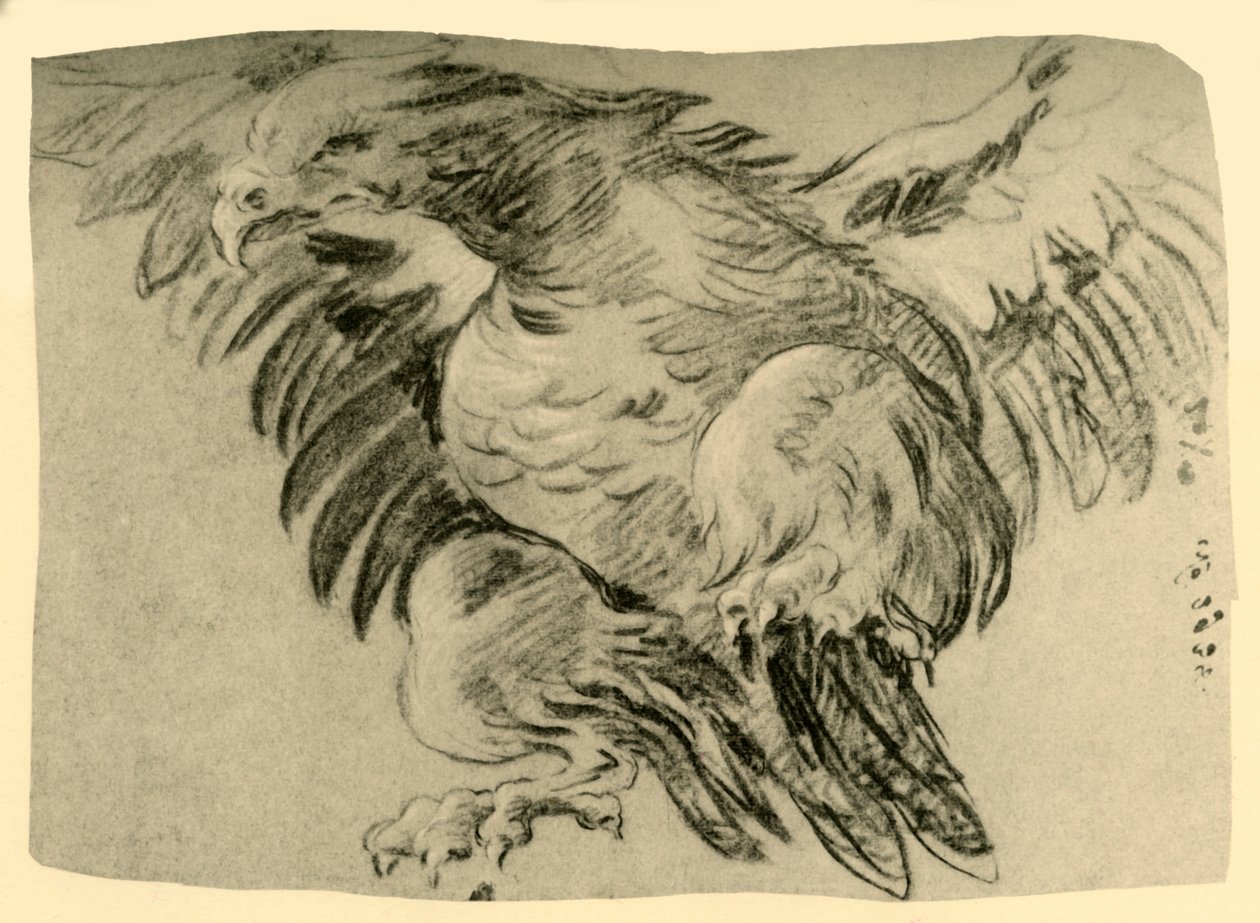 Águila, 1751-1752, 1928 de Giovanni Battista Tiepolo