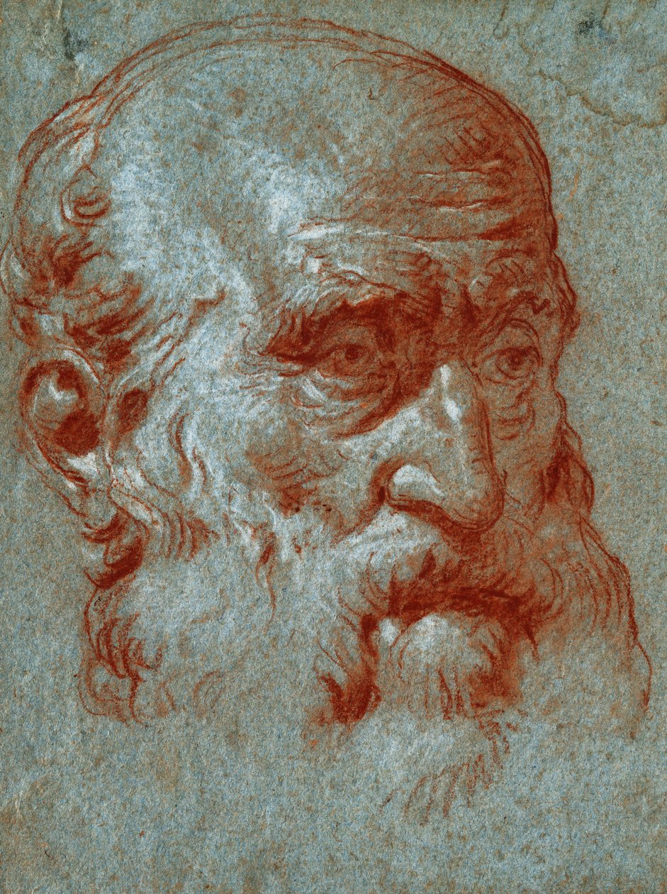Cabeza de un patricio veneciano, tres cuartos de cara de Giovanni Battista Tiepolo