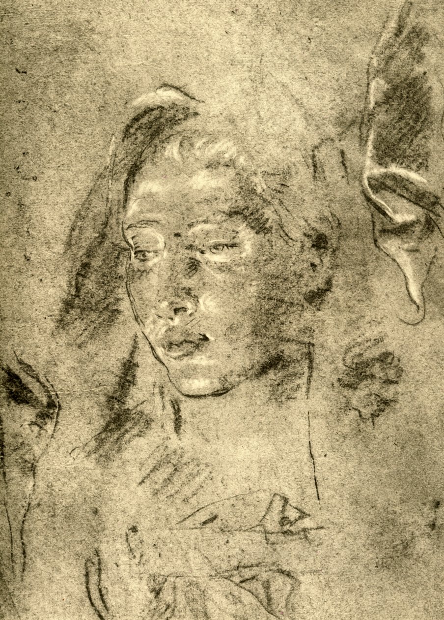 Cabeza de una joven, mediados del siglo XVIII, 1928 de Giovanni Battista Tiepolo