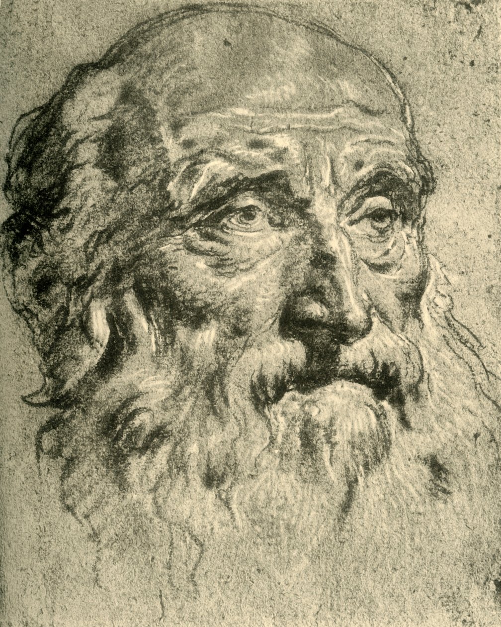 Cabeza de un Hombre Viejo, mediados del siglo XVIII de Giovanni Battista Tiepolo