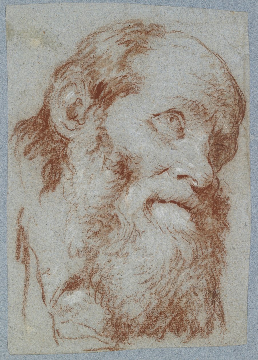 Cabeza de un hombre viejo con barba de Giovanni Battista Tiepolo