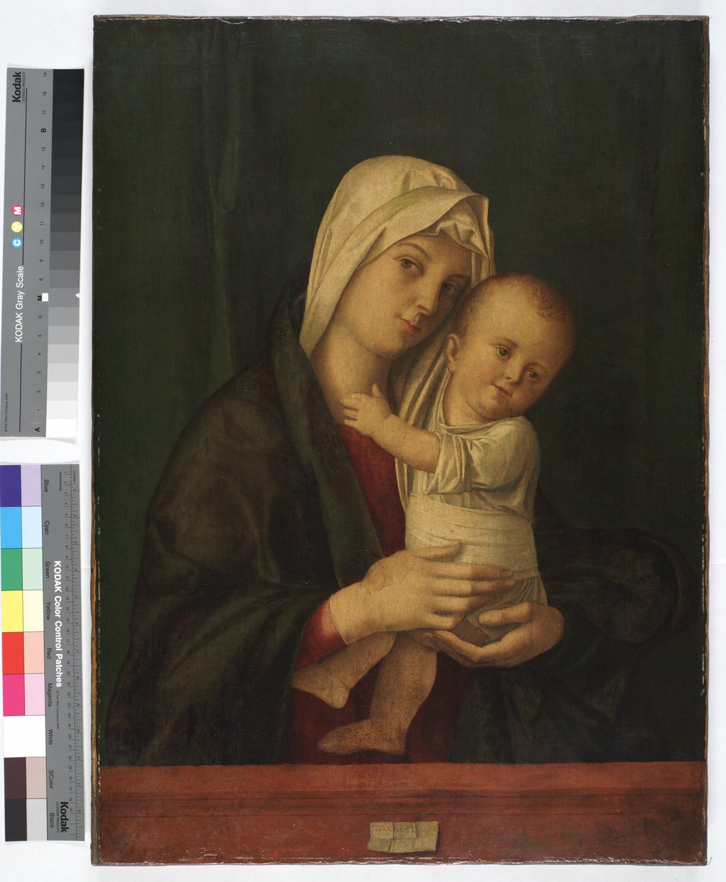 Madonna y Niño, c.1489 de Giovanni Bellini