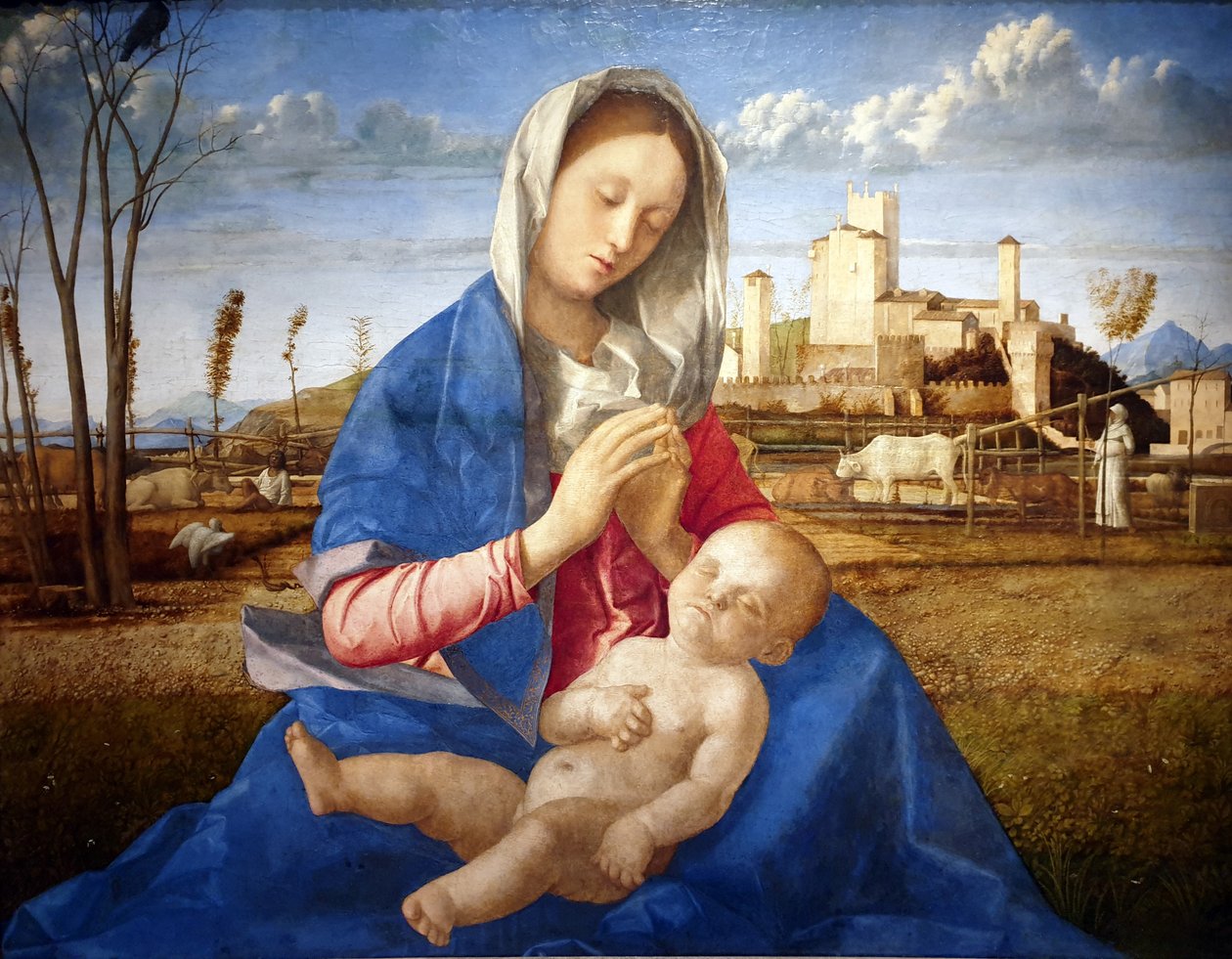 Virgen de la Pradera de Giovanni Bellini