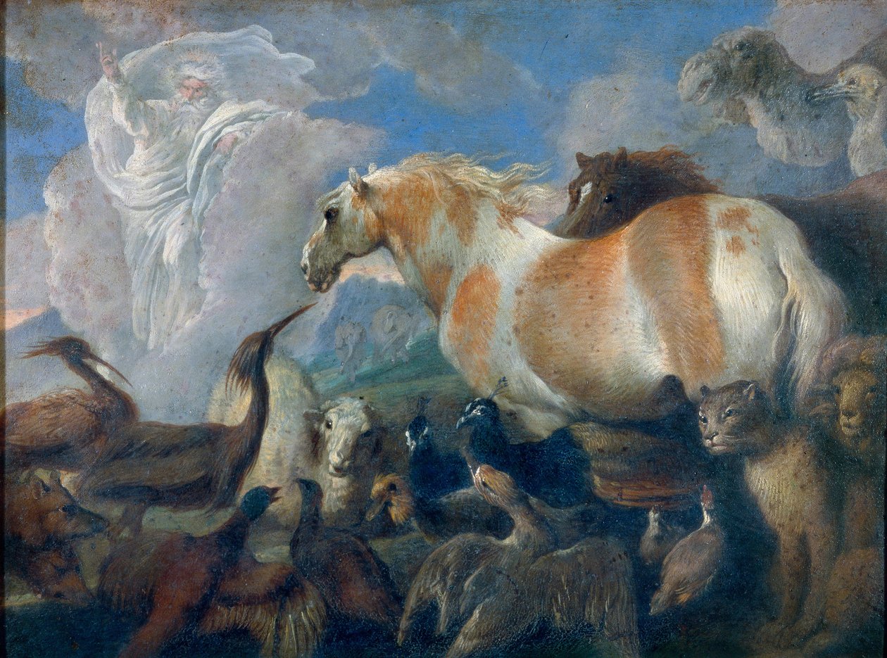 Creación (Génesis). Pintura de Giovanni Benedetto Castiglione (1610-1665), óleo sobre lienzo, mediados del siglo XVII. Arte italiano (Génova) de Giovanni Benedetto Castiglione