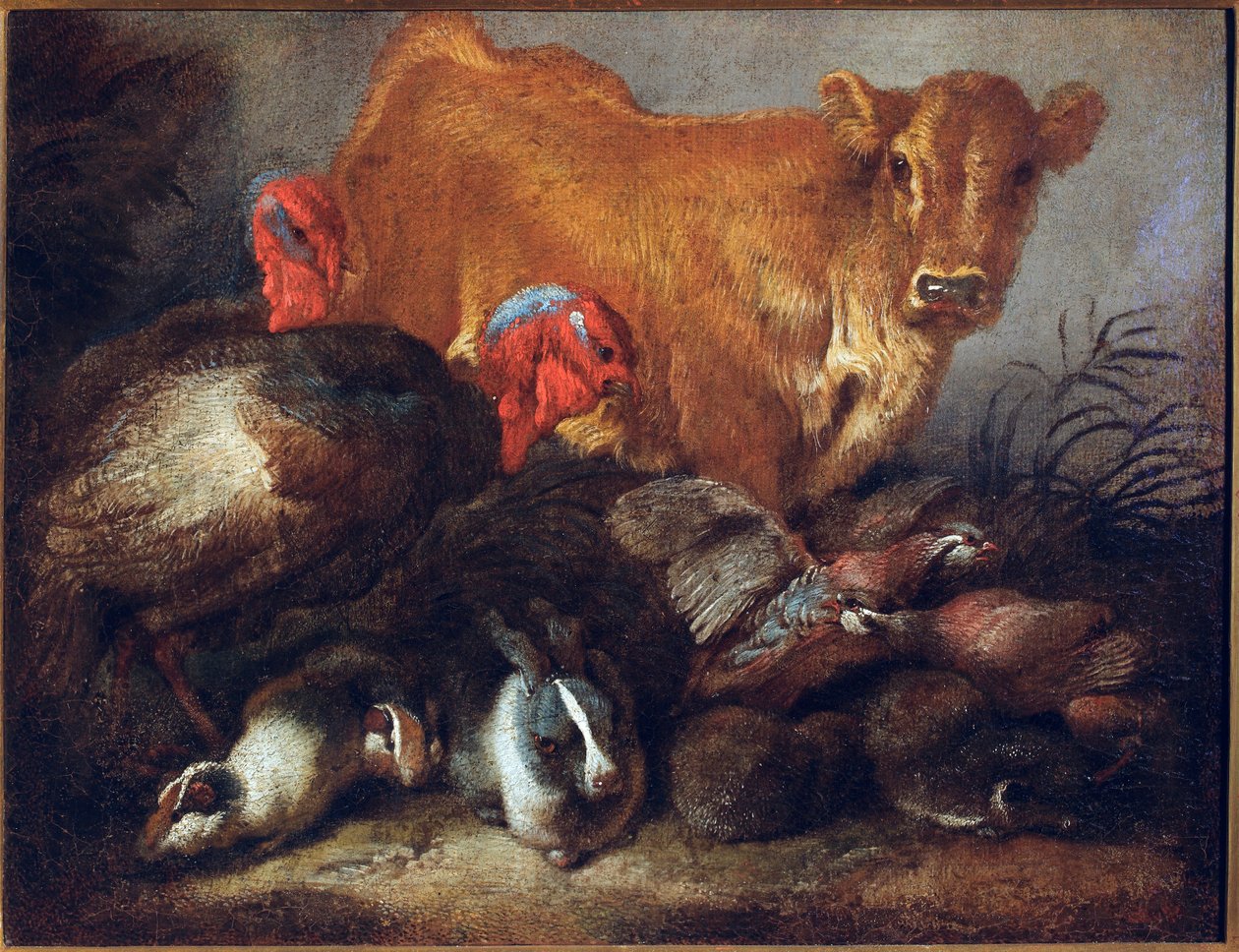 Estudio de animales: vaca, pavo, conejo. Pintura de Giovanni Benedetto Castiglione (il Grechetto) Génova, Musei di Strada Nuova de Giovanni Benedetto Castiglione