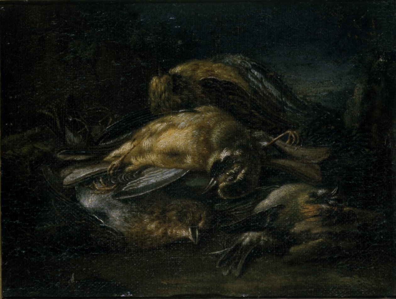 Ave muerta de Giovanni Benedetto Castiglione
