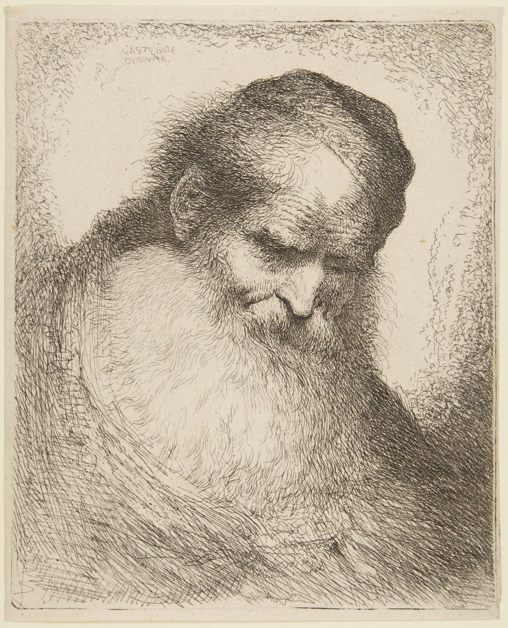 Cabeza de un anciano barbudo de Giovanni Benedetto Castiglione
