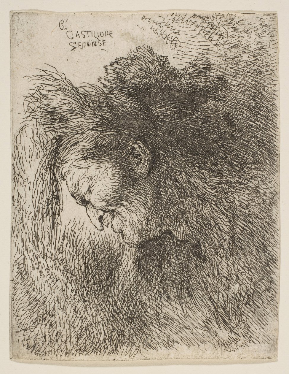 Cabeza de un anciano mirando hacia abajo, de la serie de Pequeñas Cabezas de Giovanni Benedetto Castiglione