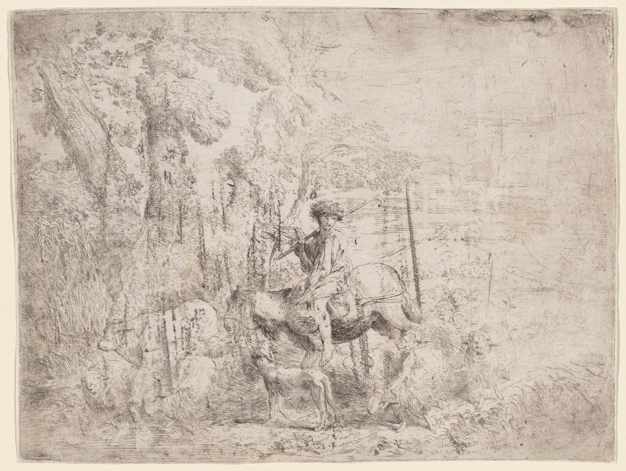 Joven Pastor a Caballo de Giovanni Benedetto Castiglione