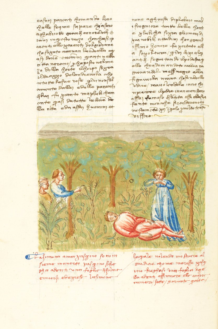 Decamerón, La planta de salvia - Muerte de Pasquino , Cuarto día, cuento 7. de Giovanni Boccaccio