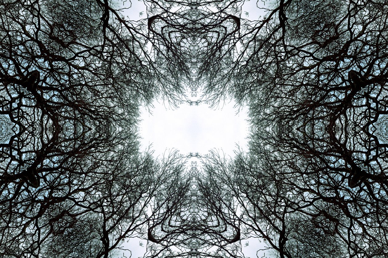 Unnatural 101 de Giovanni Cafagna