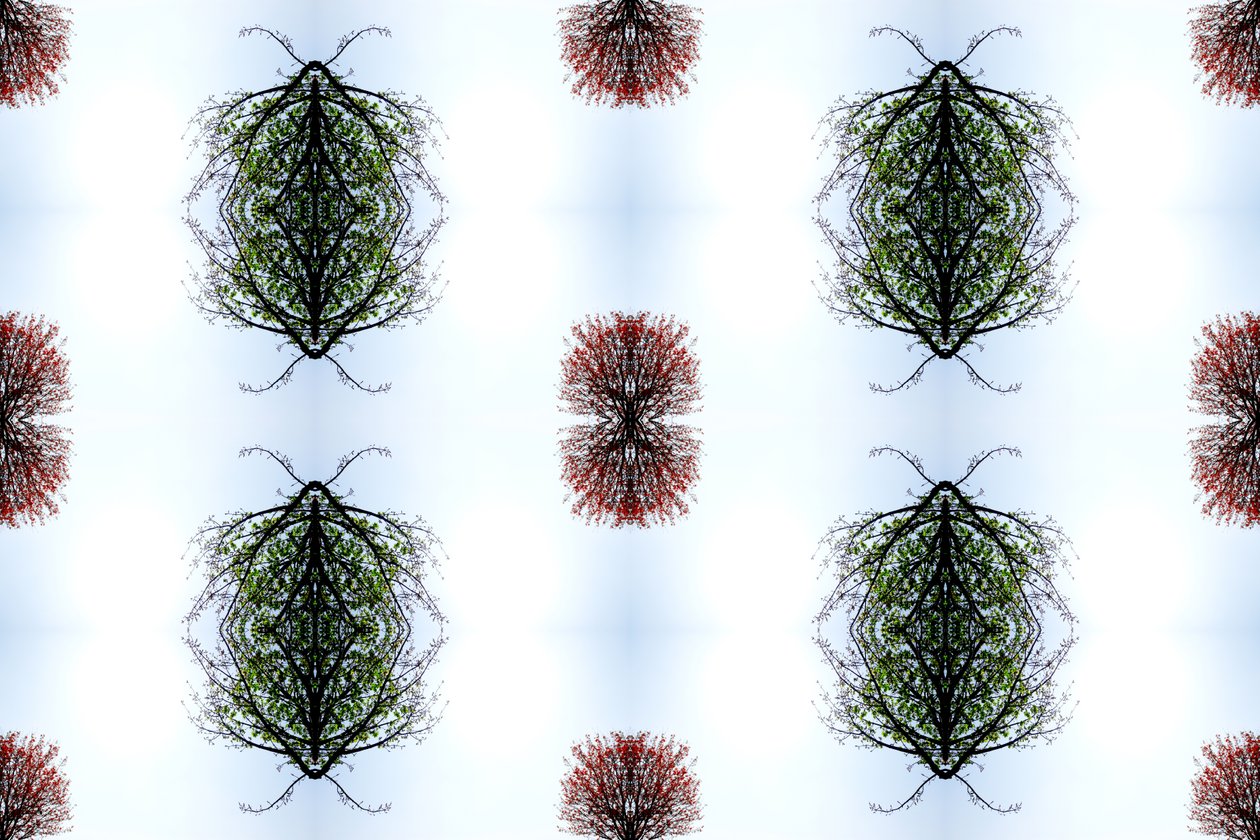 Unnatural 110 de Giovanni Cafagna