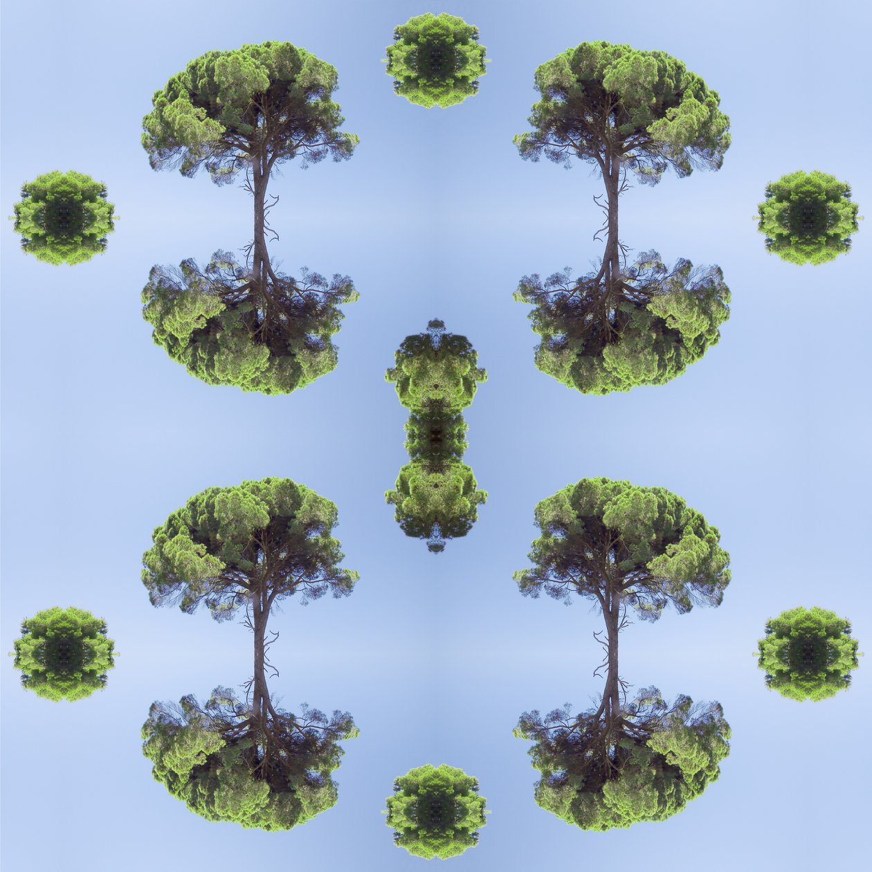 Unnatural 118 de Giovanni Cafagna