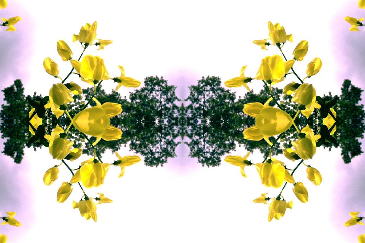 Unnatural 151.2 de Giovanni Cafagna
