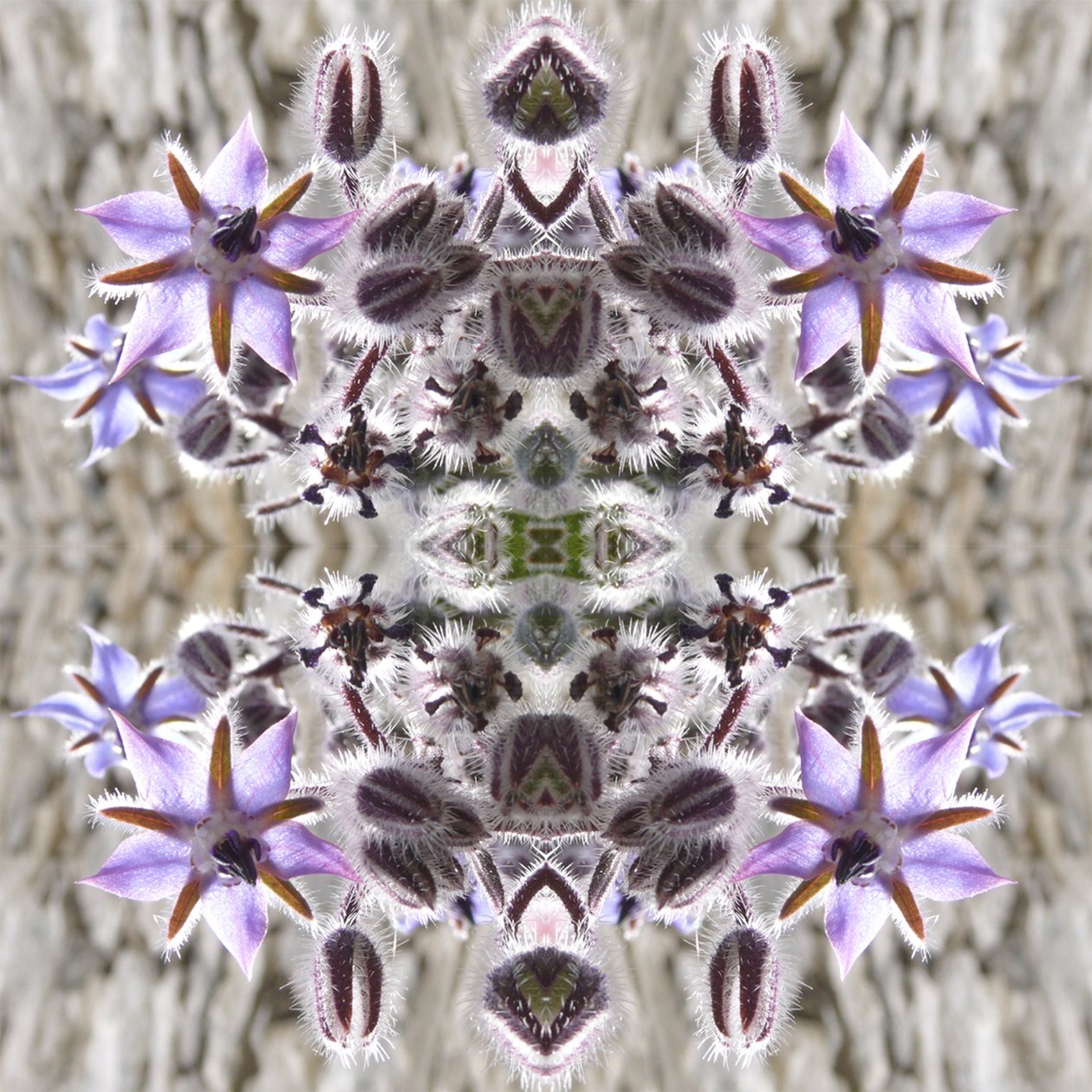 Unnatural 159 de Giovanni Cafagna