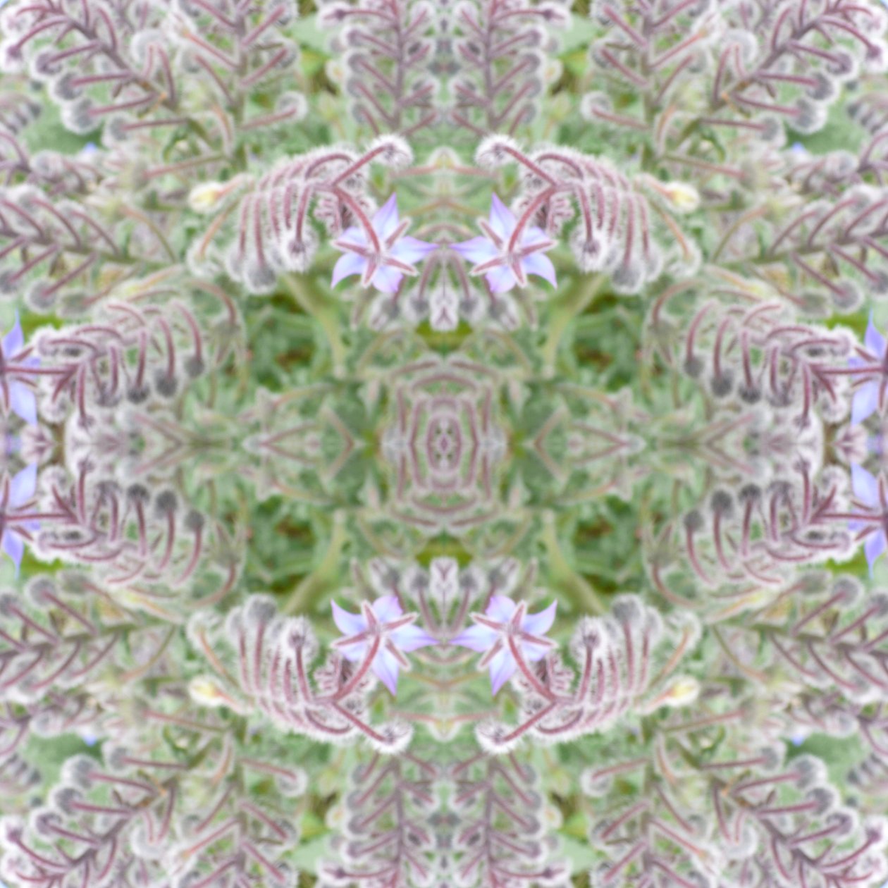 Unnatural 161 de Giovanni Cafagna