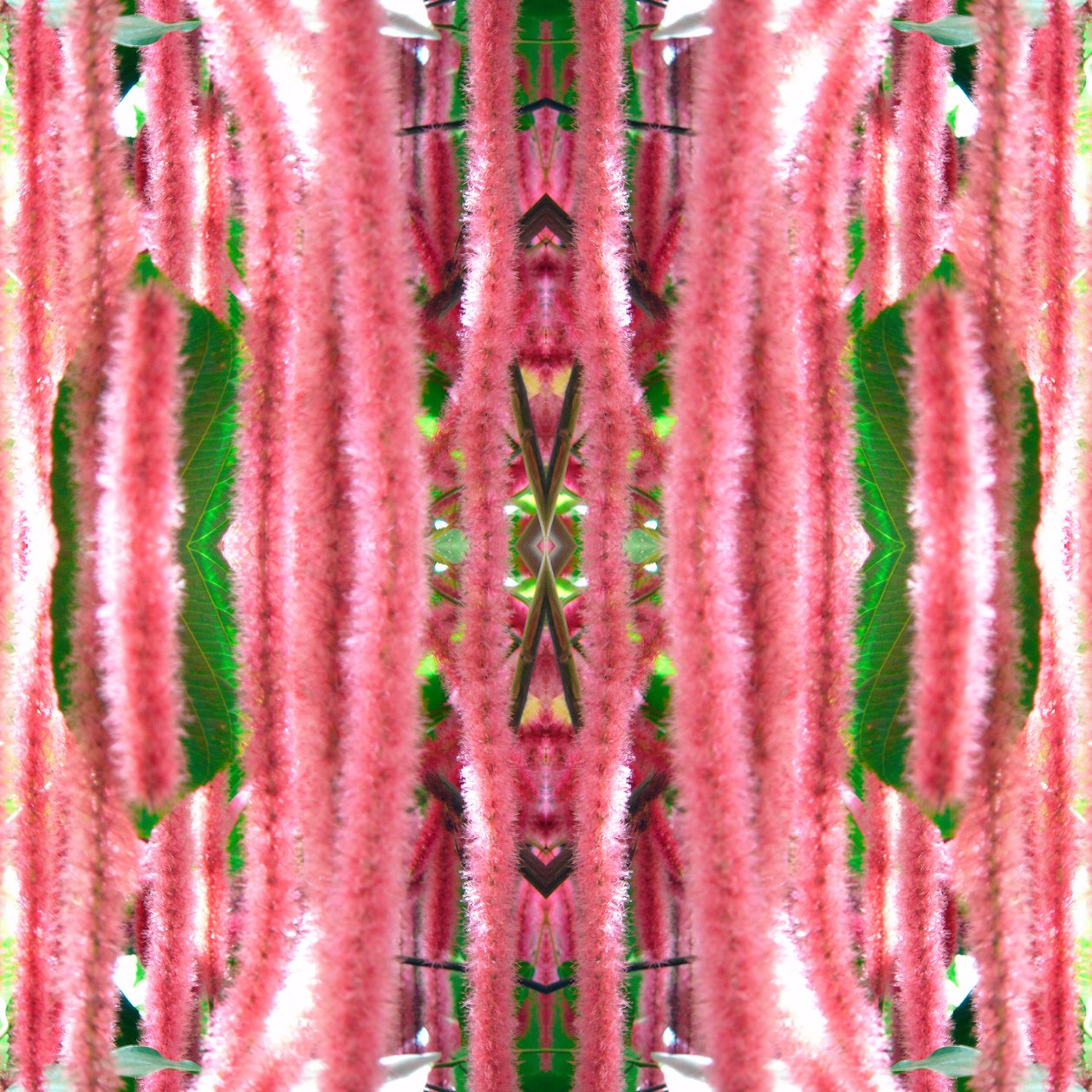 Unnatural 172 de Giovanni Cafagna