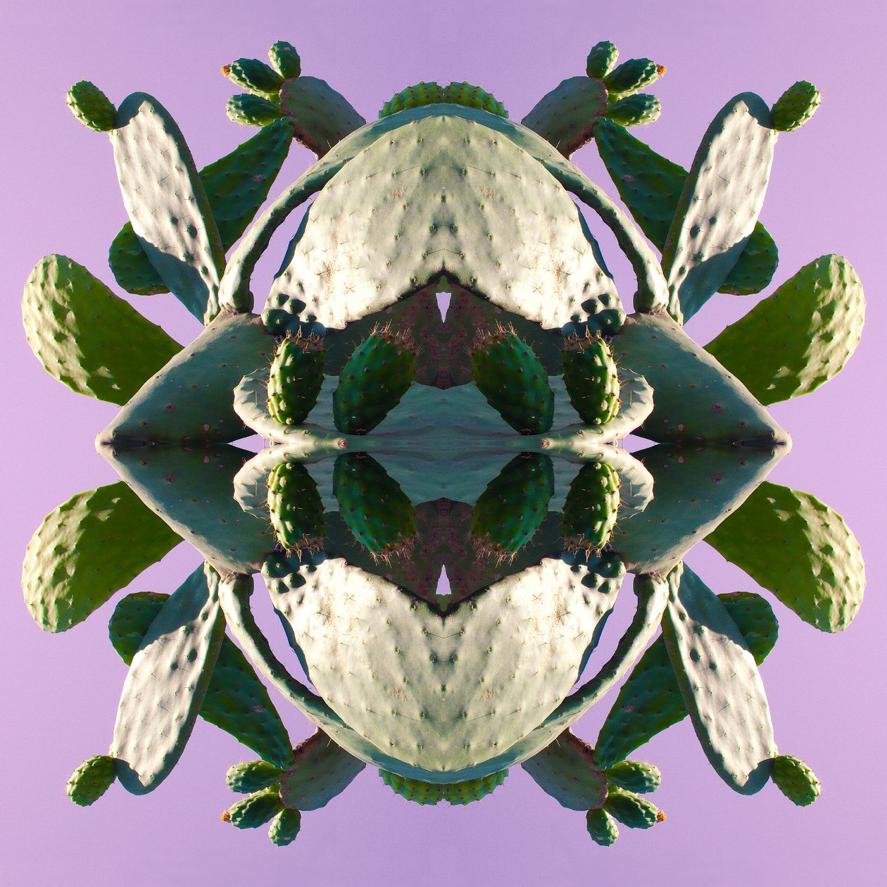 Unnatural 196 de Giovanni Cafagna