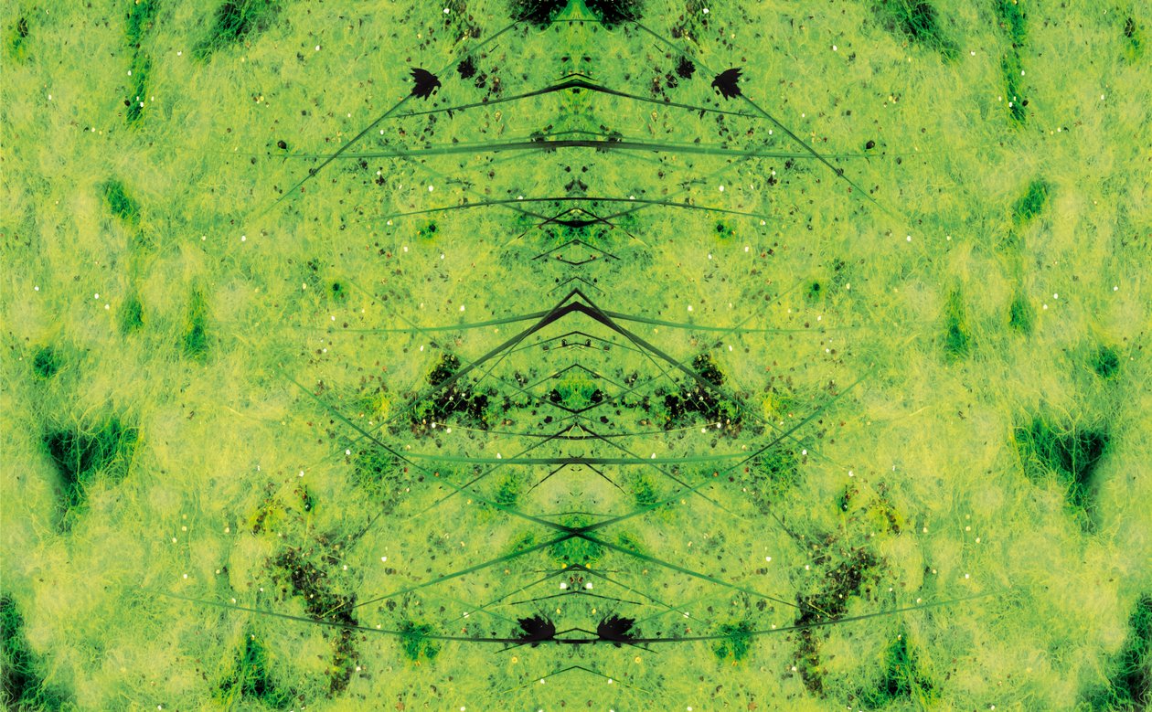 Antinatural 3 de Giovanni Cafagna