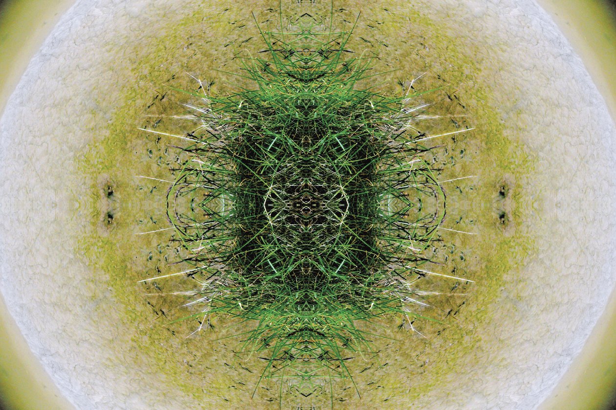Antinatural 6.1 de Giovanni Cafagna