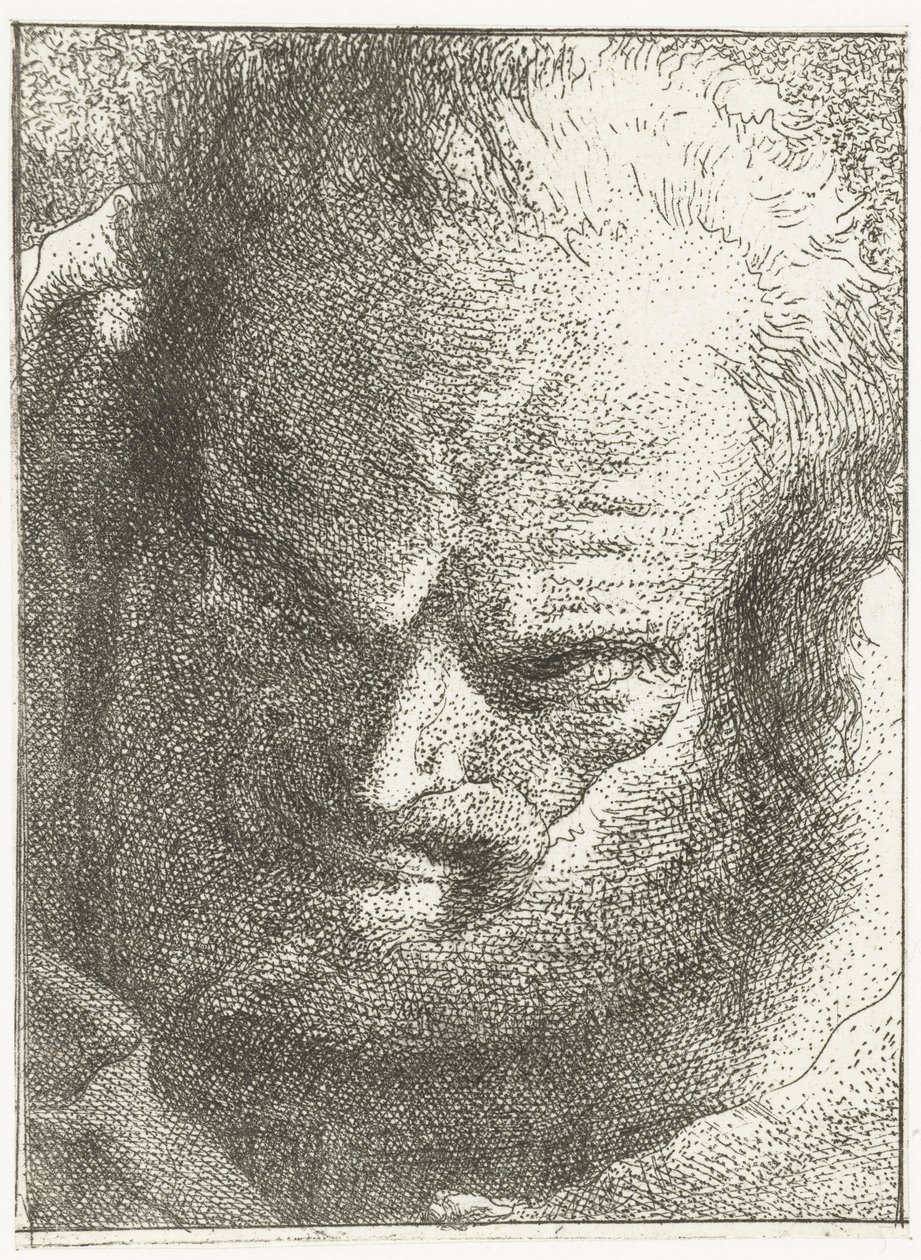 hombre mirando hacia abajo Colección de cabezas (título de la serie) Raccolta di Teste (título de la serie) de Giovanni Domenico Tiepolo