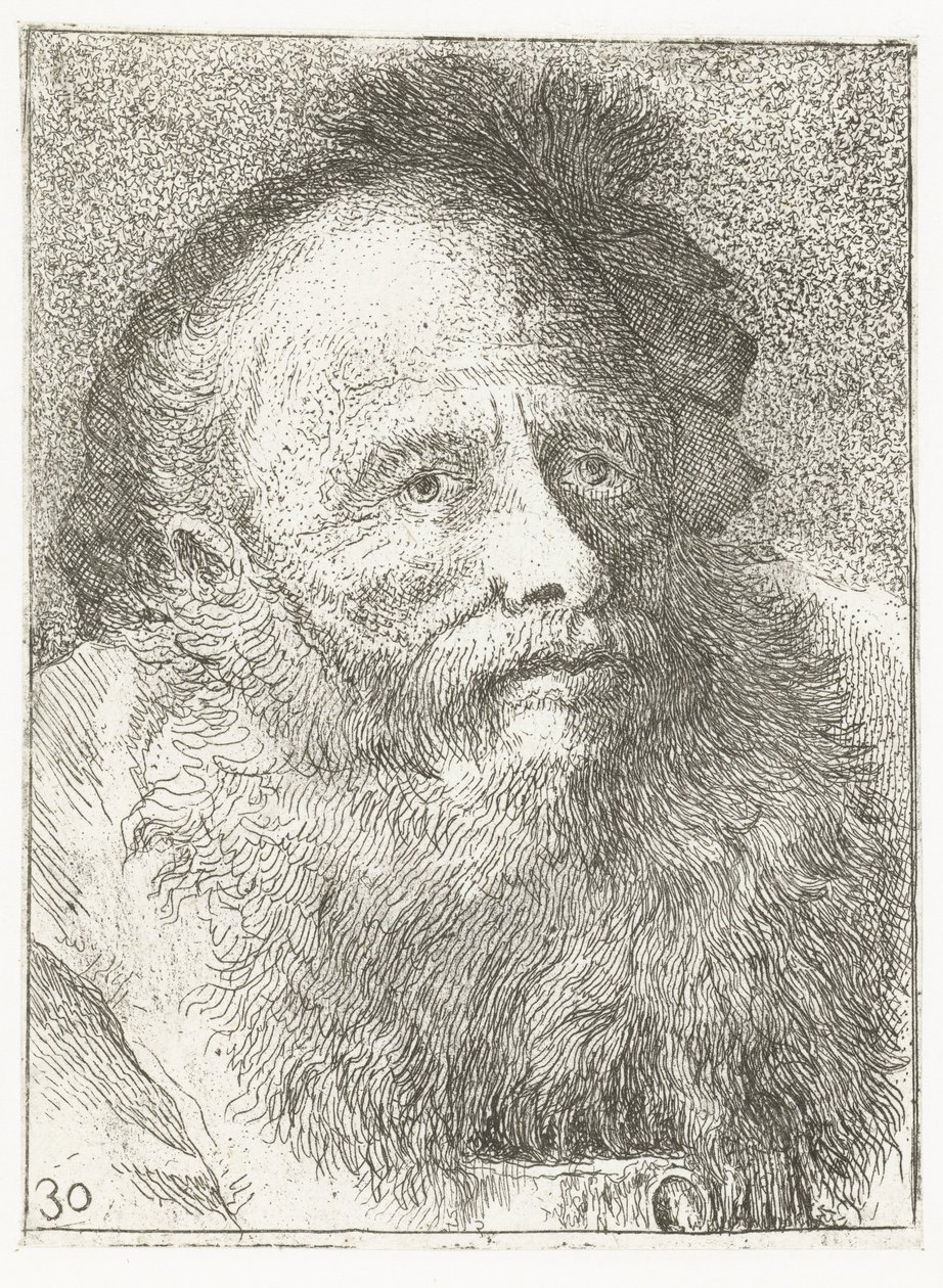 Hombre con barba y tocado con pluma Colección de cabezas (título de la serie) Raccolta di Teste (título de la serie) de Giovanni Domenico Tiepolo