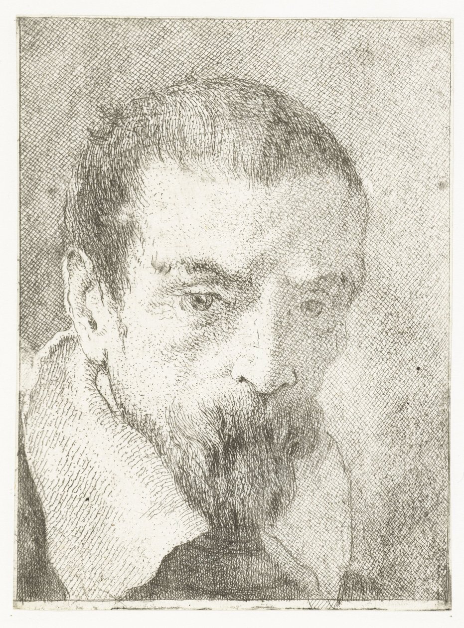 Hombre con barba pequeña sin tocado Colección de cabezas (título de la serie) Raccolta di Teste (título de la serie) de Giovanni Domenico Tiepolo