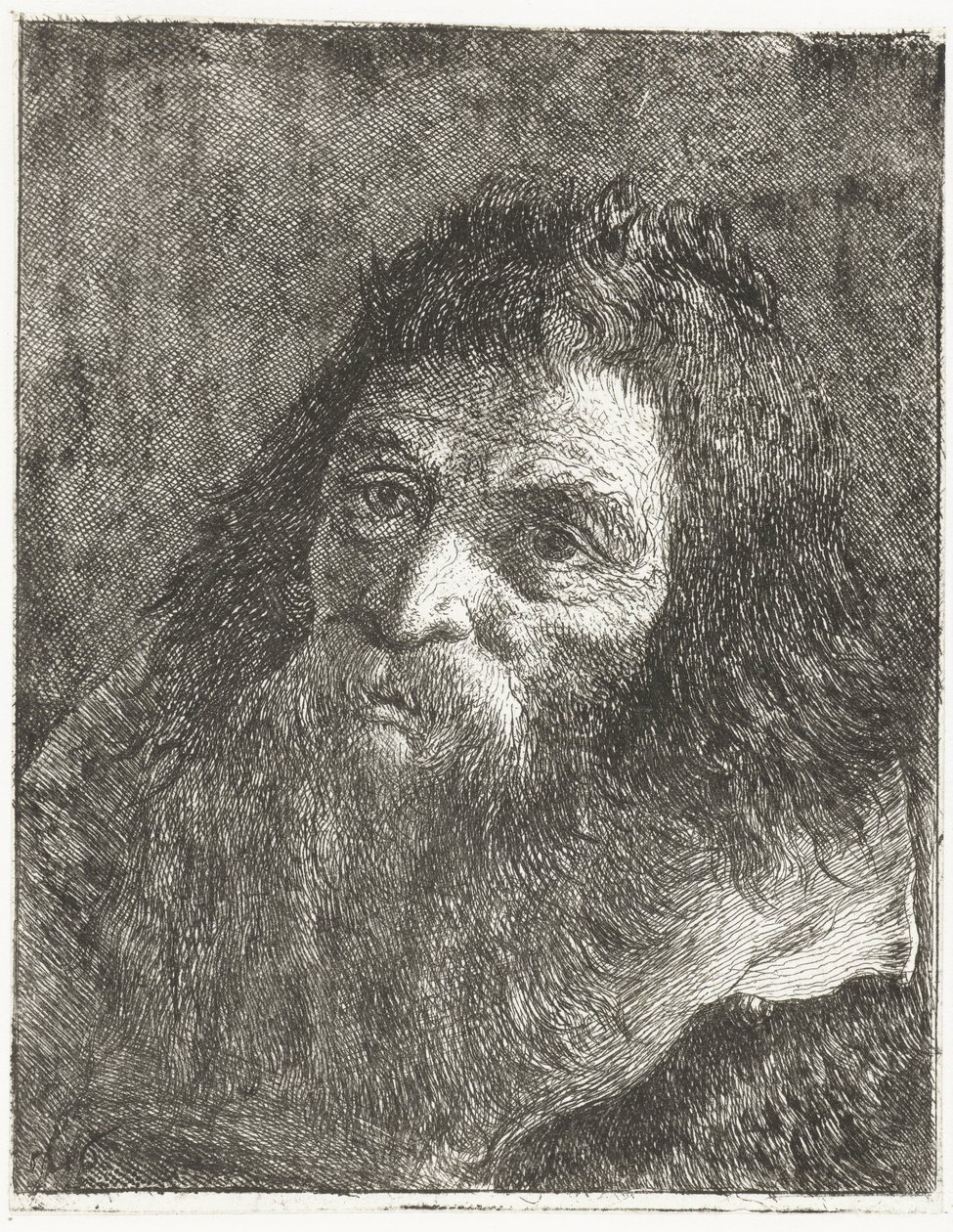 Hombre con cabello largo y barba de Giovanni Domenico Tiepolo
