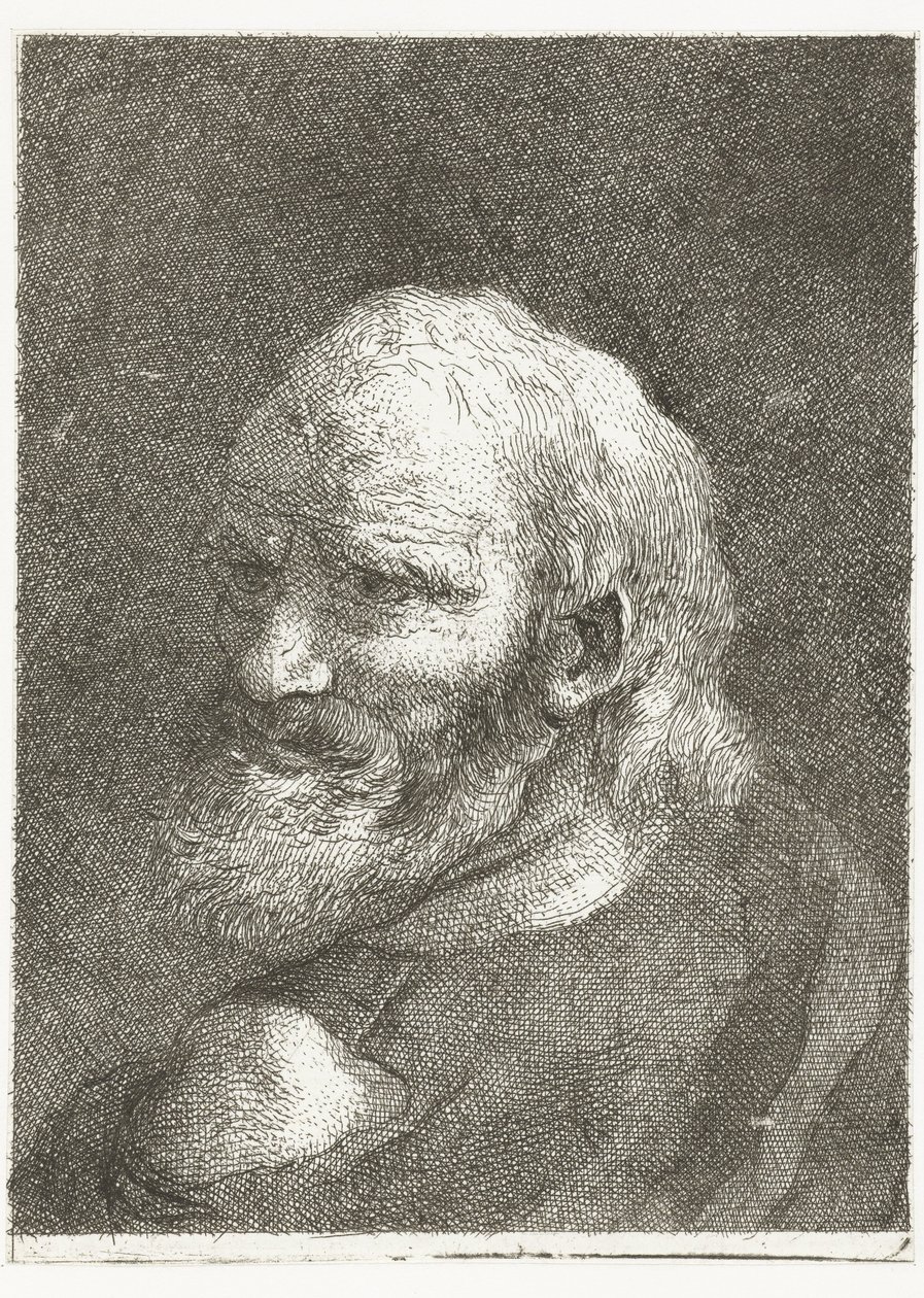 hombre, con, hombro descubierto Colección de cabezas (título de la serie) Raccolta di Teste (título de la serie) de Giovanni Domenico Tiepolo