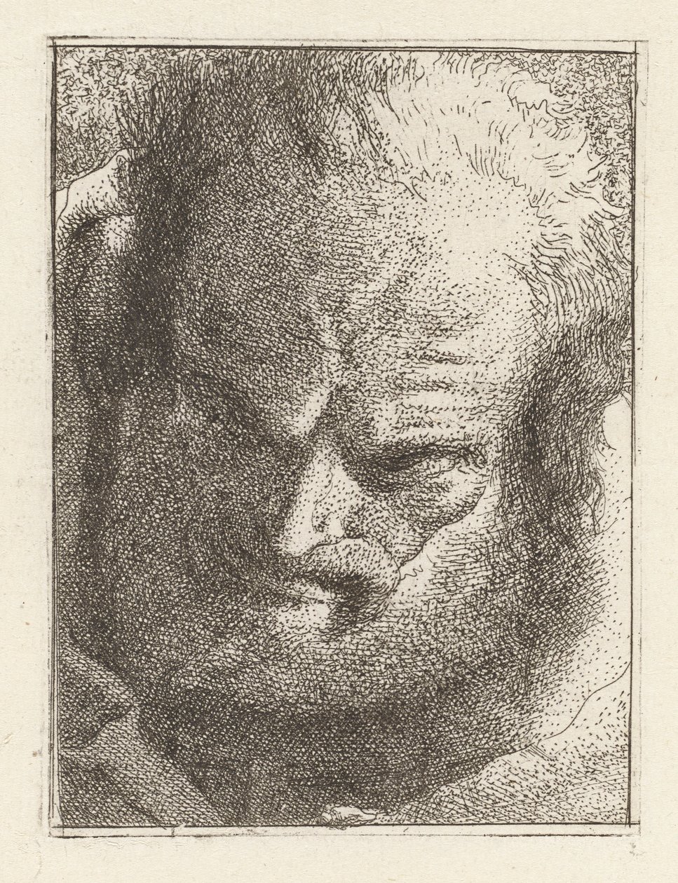 Viejo mirando hacia abajo, de la Raccolta di Teste (Colección de cabezas) de Giovanni Domenico Tiepolo