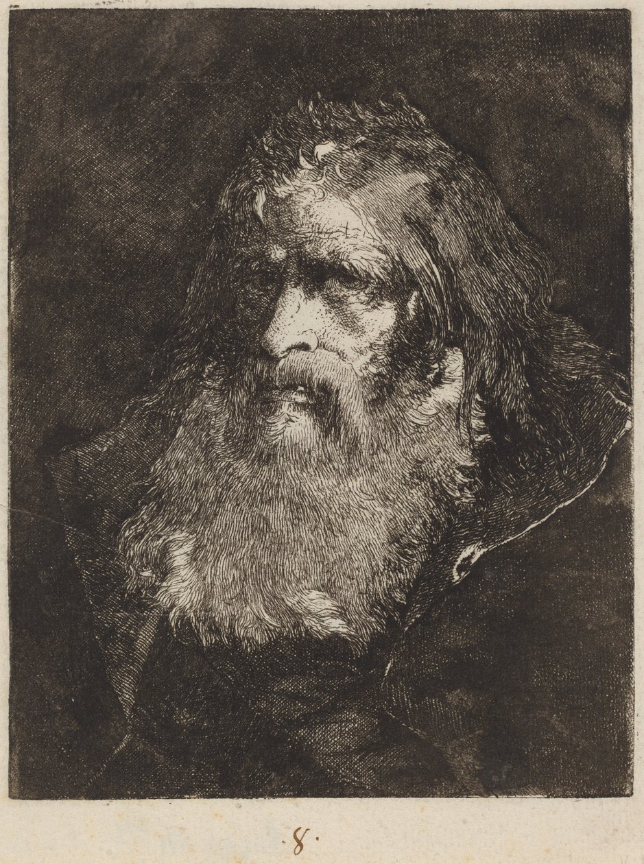 Viejo con Cabeza Desnuda de Giovanni Domenico Tiepolo