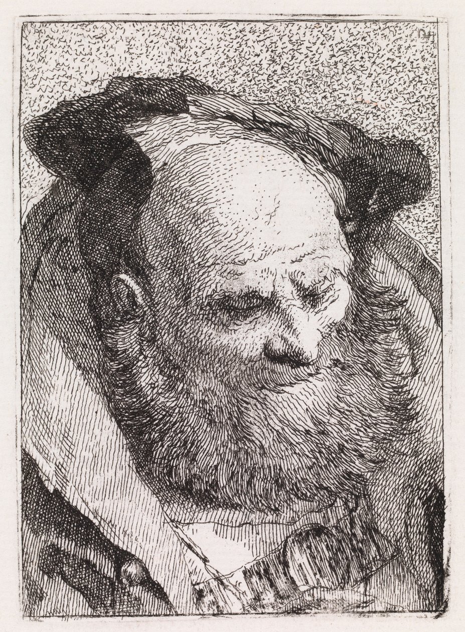 Un anciano con barba de Giovanni Domenico Tiepolo