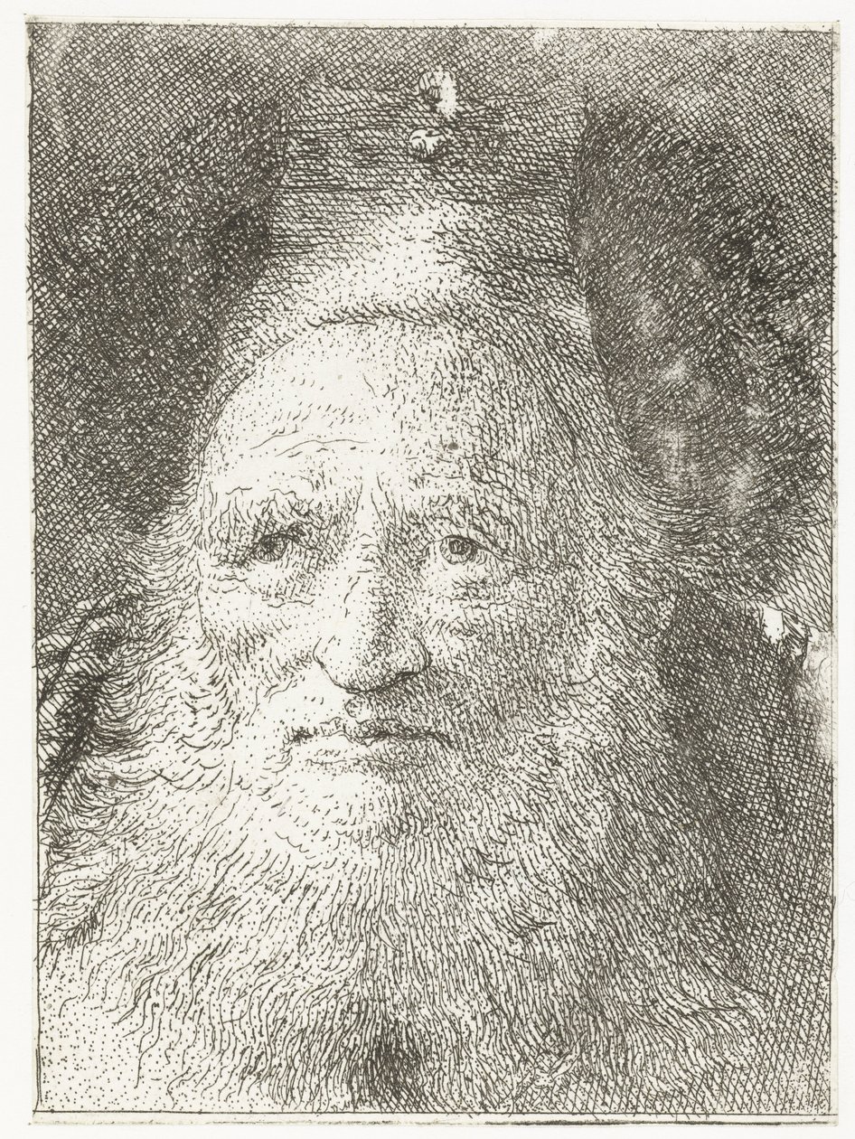 Viejo con sombrero de piel Colección de cabezas (título de la serie) Raccolta di Teste (título de la serie) de Giovanni Domenico Tiepolo