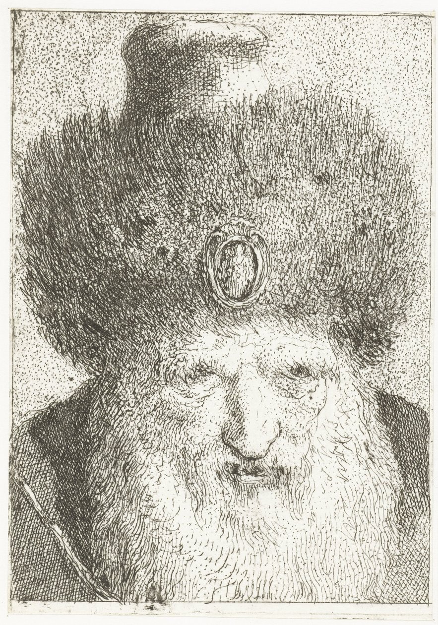 Hombre turco con sombrero de piel Colección de cabezas (título de la serie) Raccolta di Teste (título de la serie) de Giovanni Domenico Tiepolo