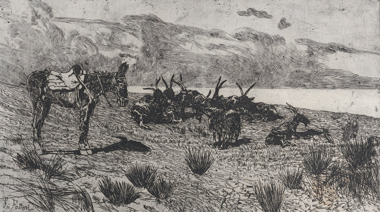 Burro y cabras en una playa en invierno de Giovanni Fattori