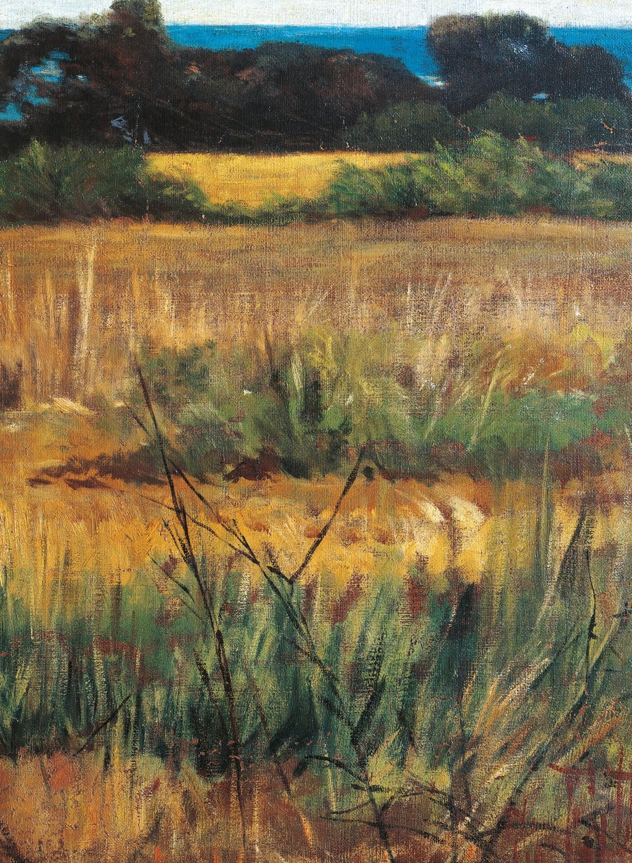 Italia, Florencia, Maremma Toscana, circa 1894 (detalle) de Giovanni Fattori