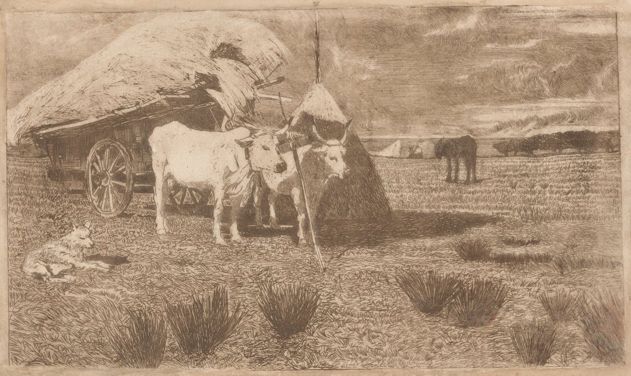 Bueyes enganchados a una carreta (Maremma) (Bovi al carro (Maremma)) de Giovanni Fattori