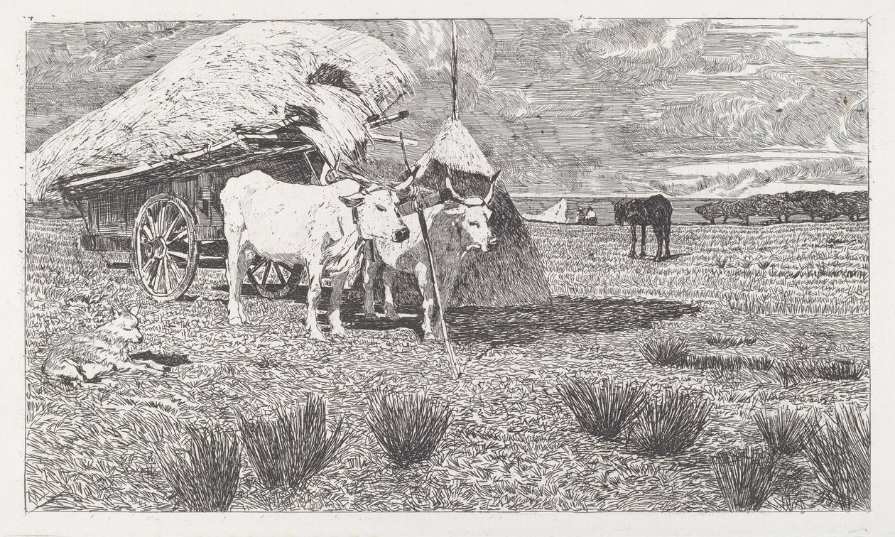 Bueyes uncidos a un carro (Maremma) de Giovanni Fattori