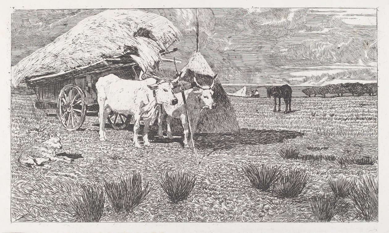 Bueyes Uncidos al Carro (Maremma) de Giovanni Fattori