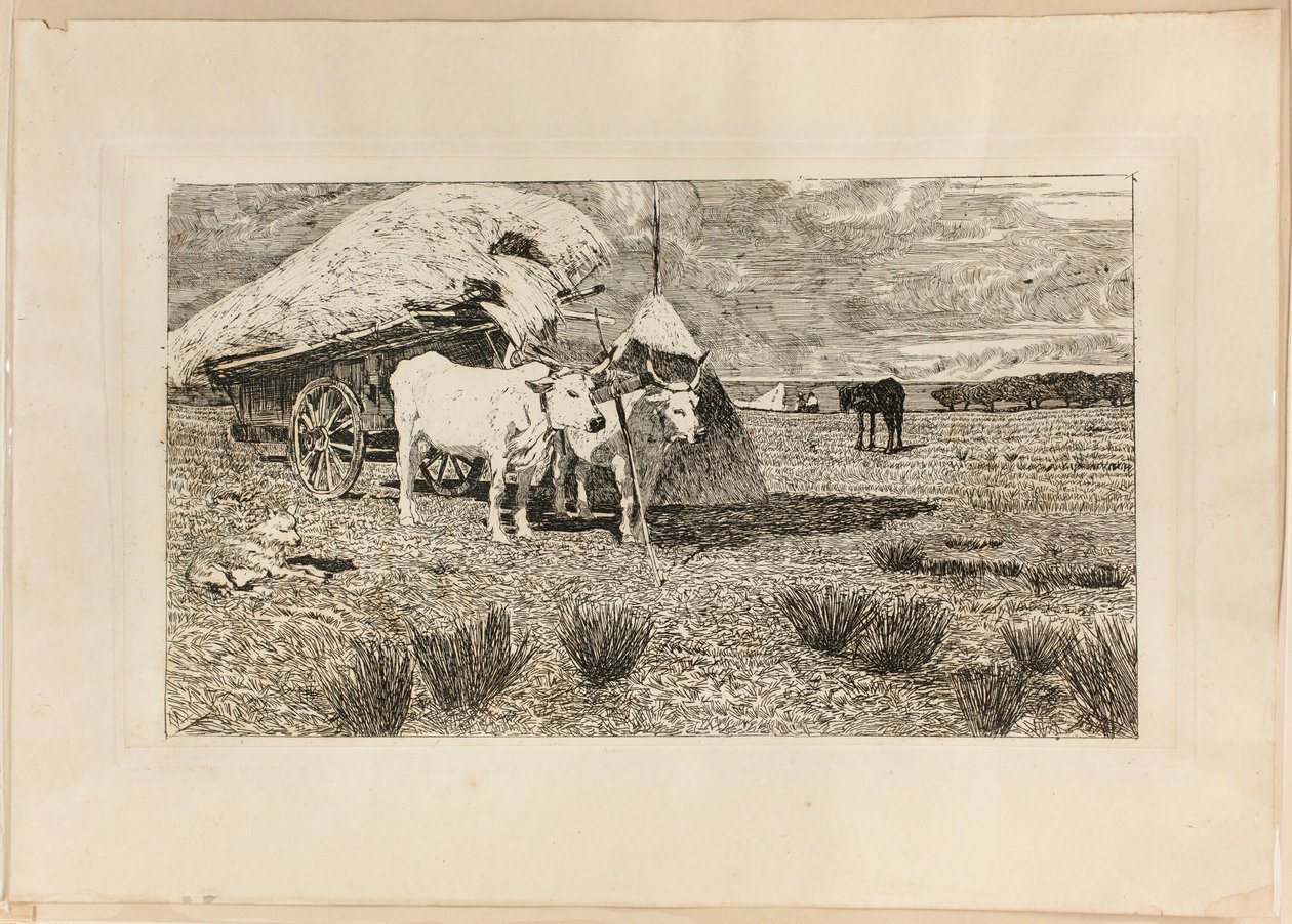 Bueyes y carro (Maremma) de Giovanni Fattori