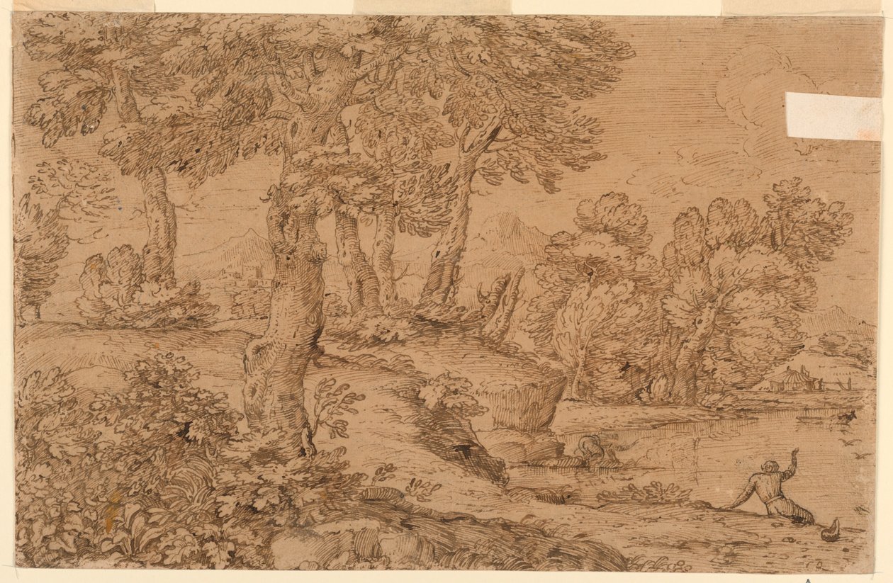 Paisaje boscoso con un estanque de Giovanni Francesco Grimaldi
