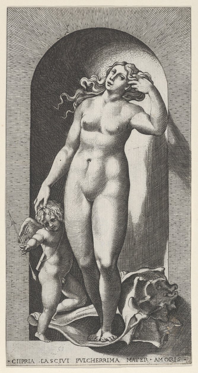 Placa 10: Venus en un nicho, de pie sobre una concha, con Cupido a su derecha, de una serie, 1526 de Giovanni Jacopo Caraglio