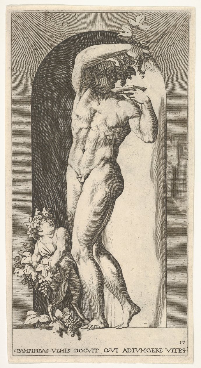 Placa 17: Baco de pie en un nicho, sosteniendo uvas sobre un plato, acompañado por un infante de Giovanni Jacopo Caraglio