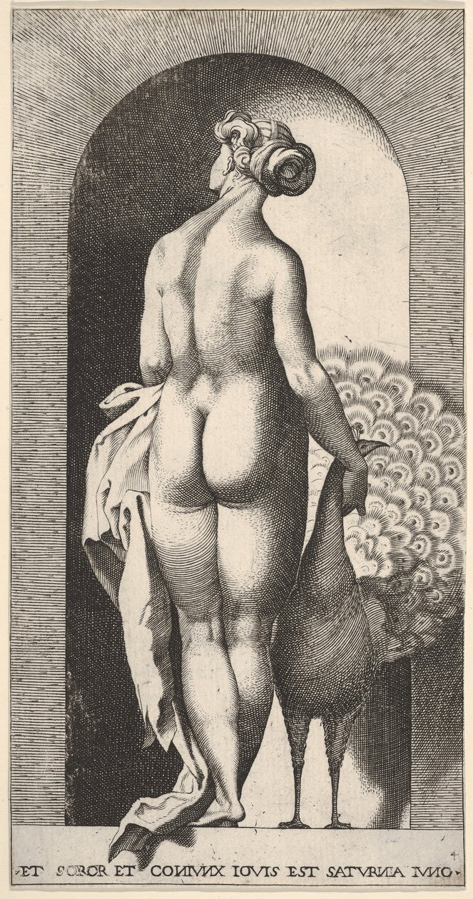 Lámina 4: Juno de pie en un nicho, vista desde atrás, acariciando un pavo real a su derecha, 1526 de Giovanni Jacopo Caraglio
