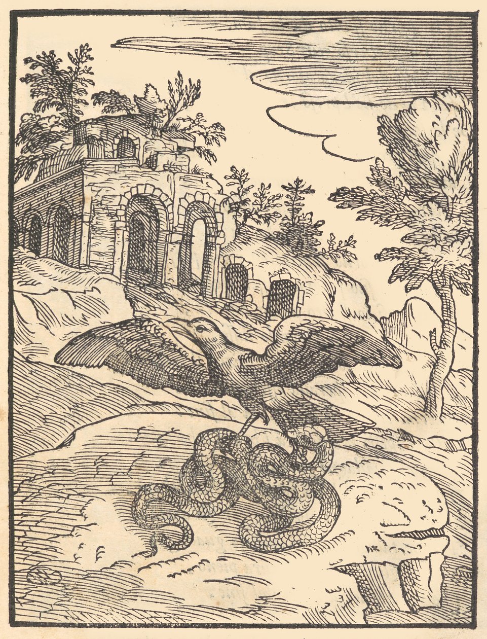 Pájaro y serpiente de Giovanni Maria Verdizotti