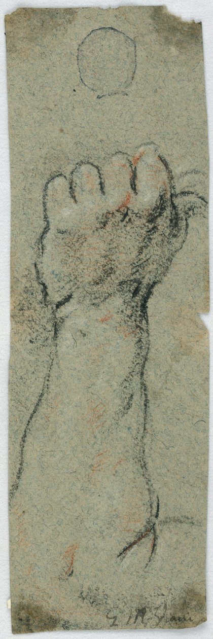 Estudio: Un antebrazo erguido y una mano izquierda sosteniendo algo de Giovanni Maria Viani