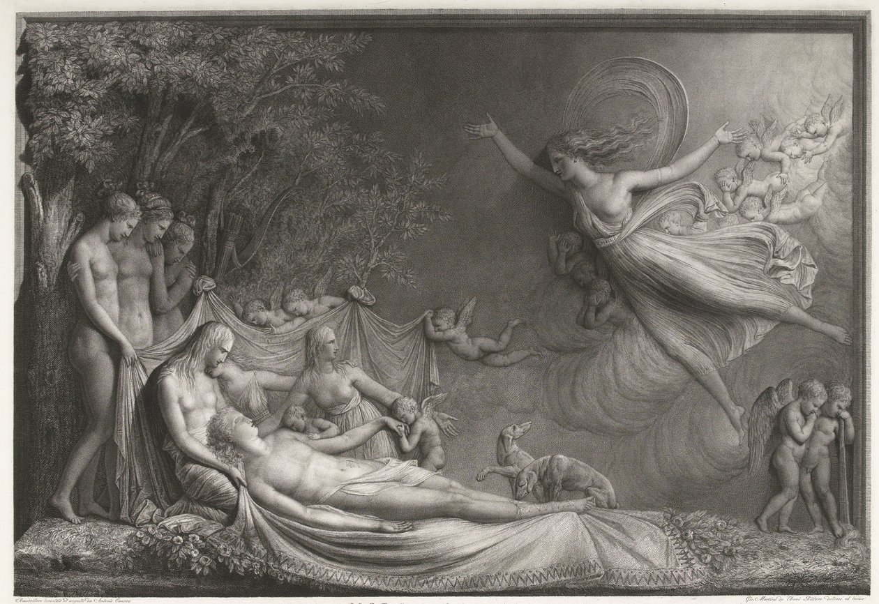 La muerte de Adonis de Giovanni Martino dei Boni