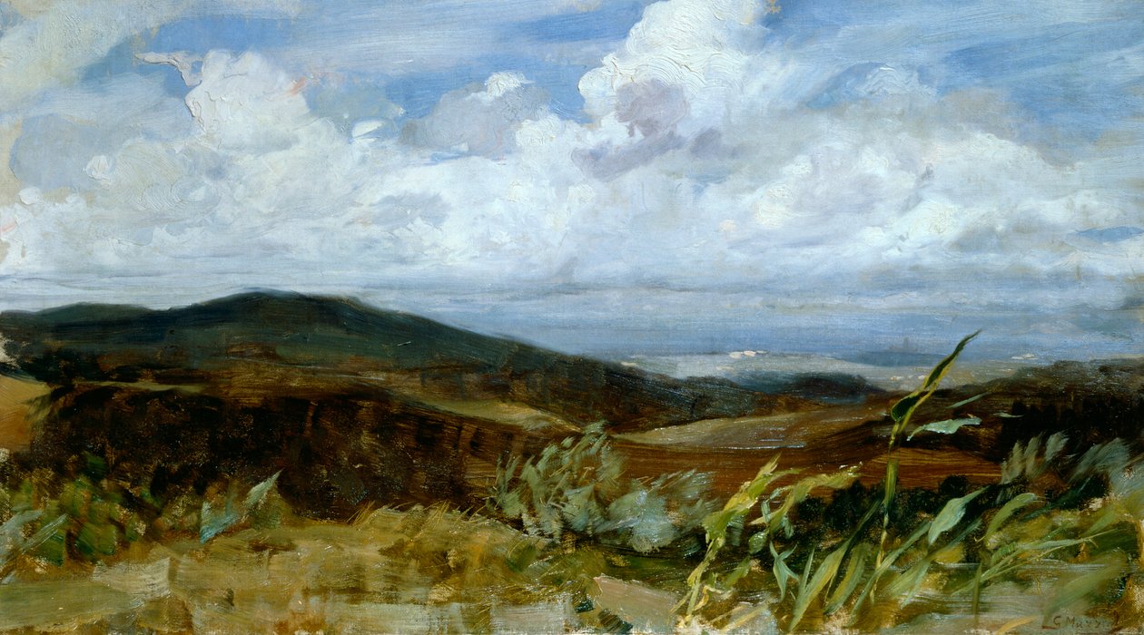 Paisaje de Giovanni Muzzioli